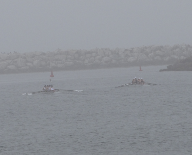 rowing-crew-foggy-day-marina